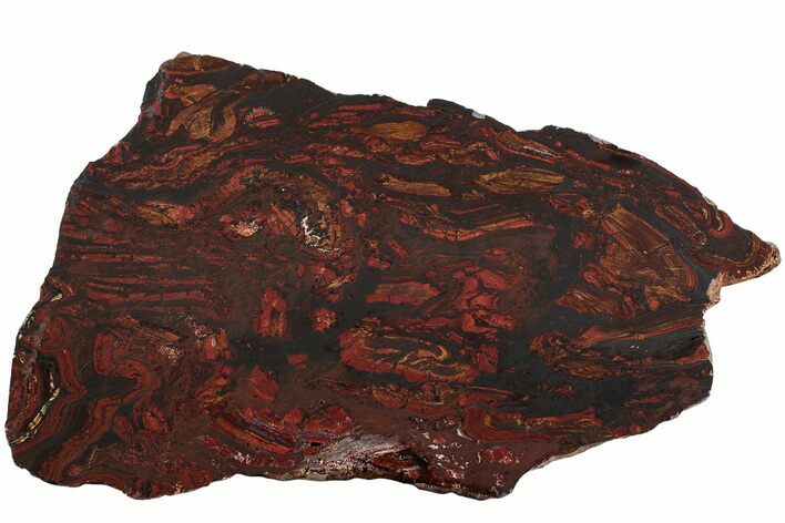 Polished Tiger Iron Stromatolite Slab - Billion Years #222102